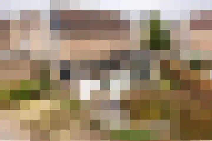 Epemastate 18 Leeuwarden thumbnail 9