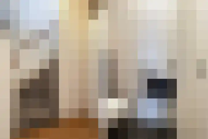 Epemastate 63 Leeuwarden thumbnail 23