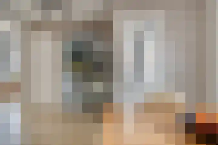 Epemawei 9 Ysbrechtum thumbnail 15