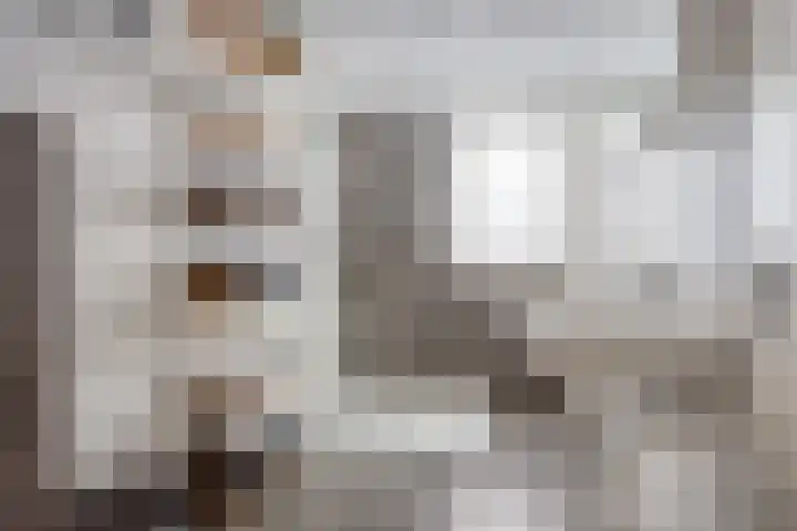 Epemawei 9 Ysbrechtum thumbnail 27