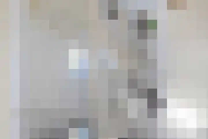 Epemawei 9 Ysbrechtum thumbnail 31