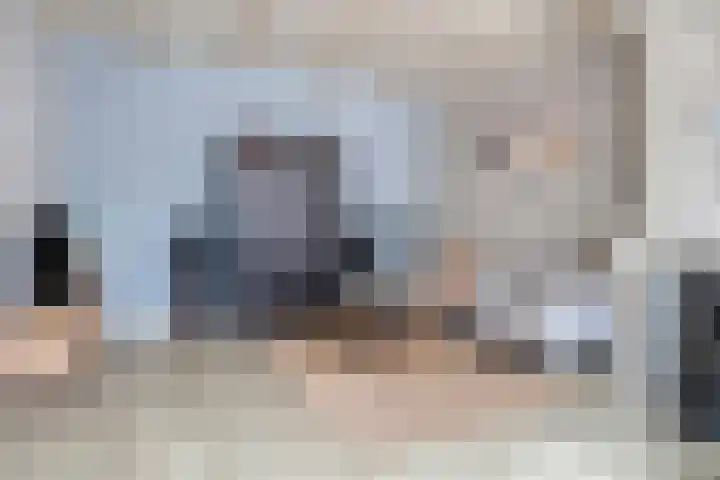 Epemawei 9 Ysbrechtum thumbnail 4
