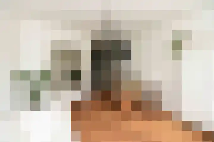 Eper Veste 30 Epe thumbnail 11