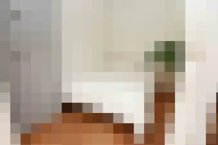 Eper Veste 30 Epe thumbnail 12