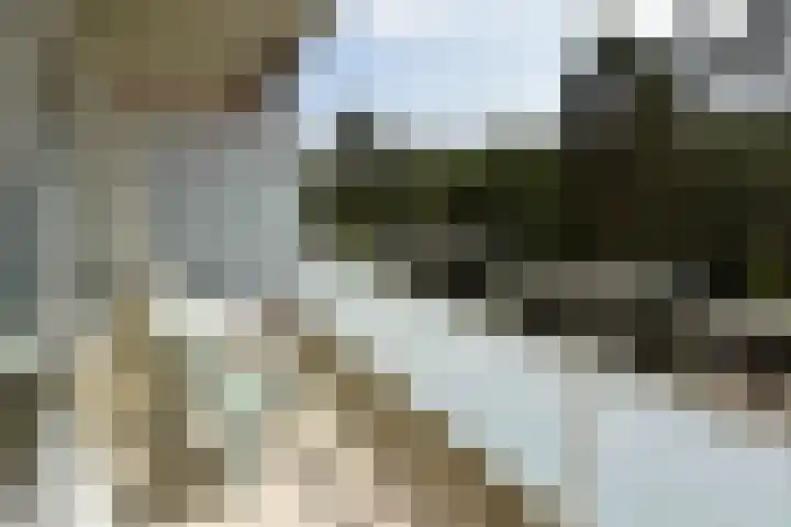 Eper Veste 30 Epe thumbnail 13