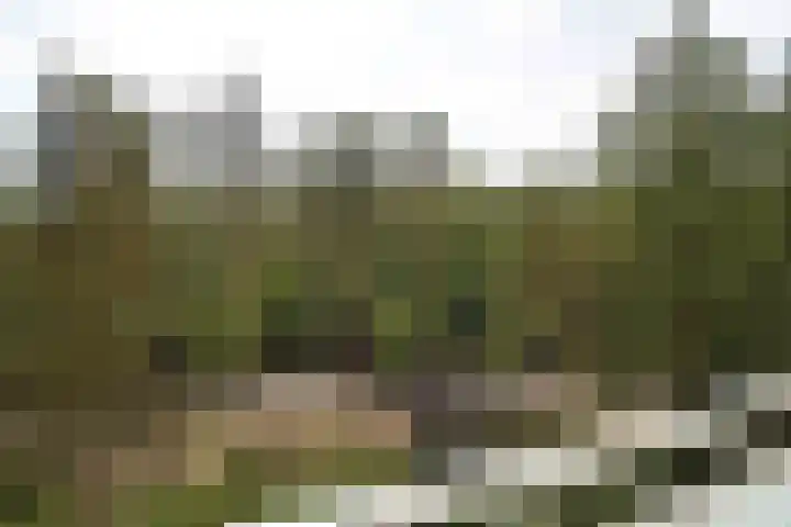Eper Veste 30 Epe thumbnail 14