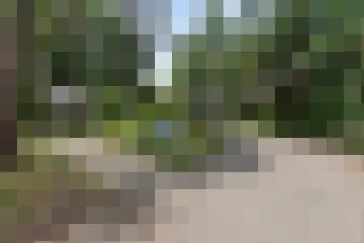 Eper Veste 30 Epe thumbnail 17