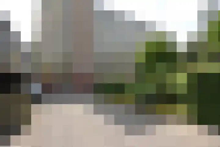 Eper Veste 30 Epe thumbnail 20