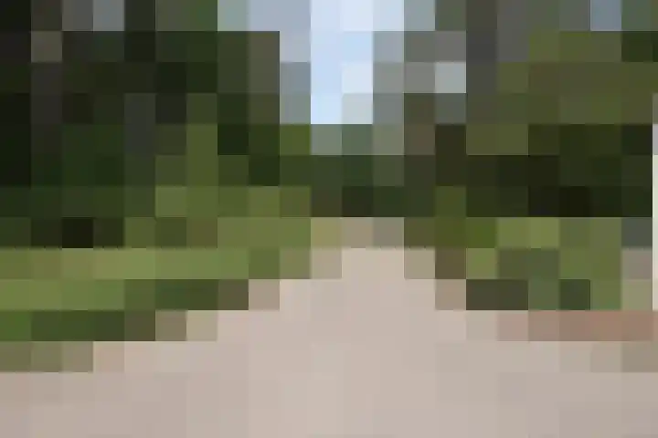 Eper Veste 30 Epe thumbnail 23
