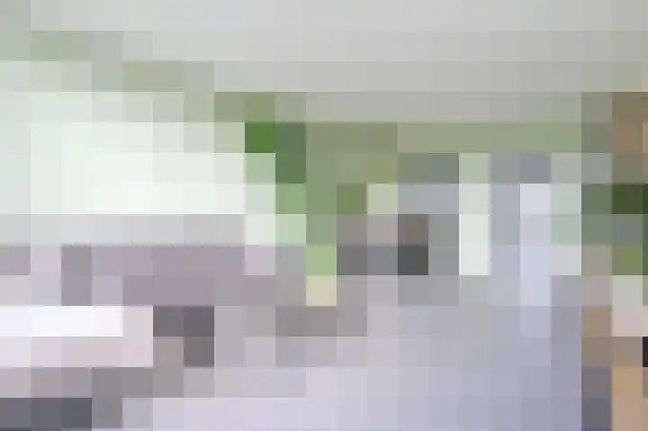 Eper Veste 41 Epe thumbnail 10