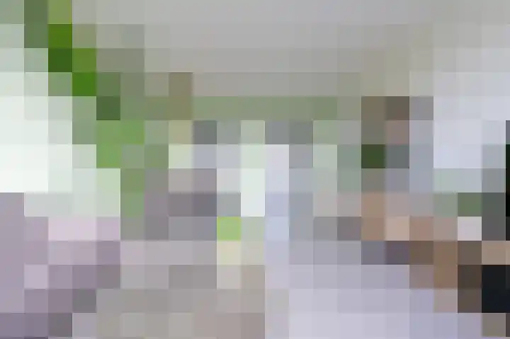 Eper Veste 41 Epe thumbnail 11