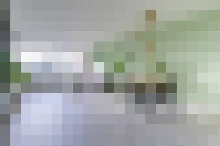 Eper Veste 41 Epe foto 2