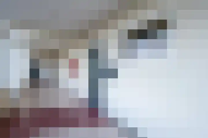 Eper Veste 41 Epe thumbnail 29