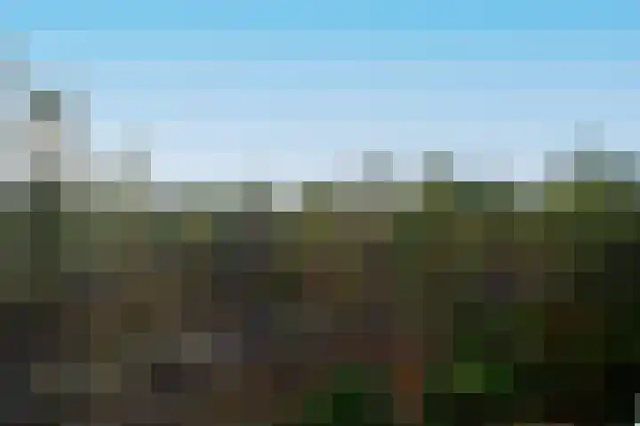 Eper Veste 41 Epe thumbnail 32