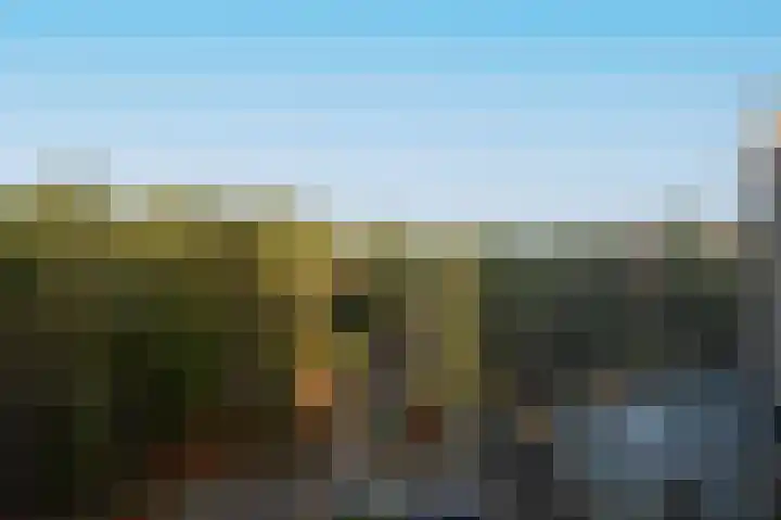 Eper Veste 41 Epe thumbnail 42
