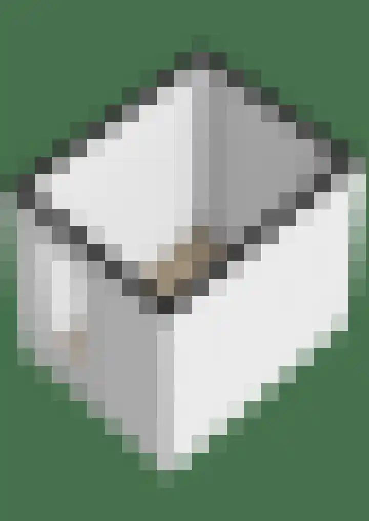 Eper Veste 41 Epe thumbnail 46