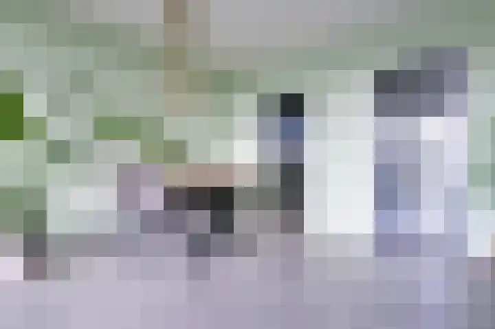 Eper Veste 41 Epe thumbnail 7