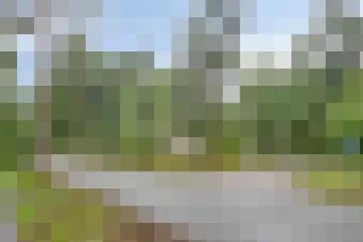 Eper Veste 5 Epe thumbnail 33