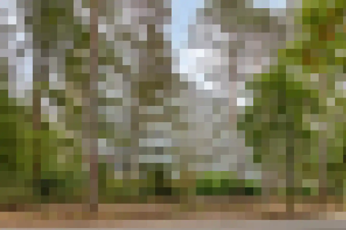 Eper Veste 54 Epe thumbnail 22