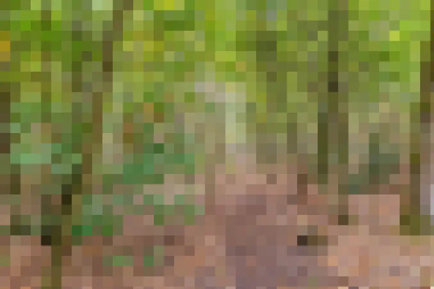 Eper Veste 54 Epe thumbnail 34