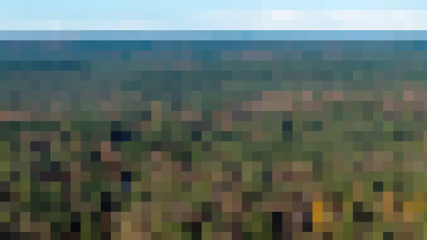 Eper Veste 54 Epe thumbnail 5