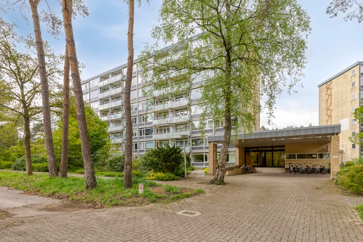 Eper Veste 58 in Epe Foto