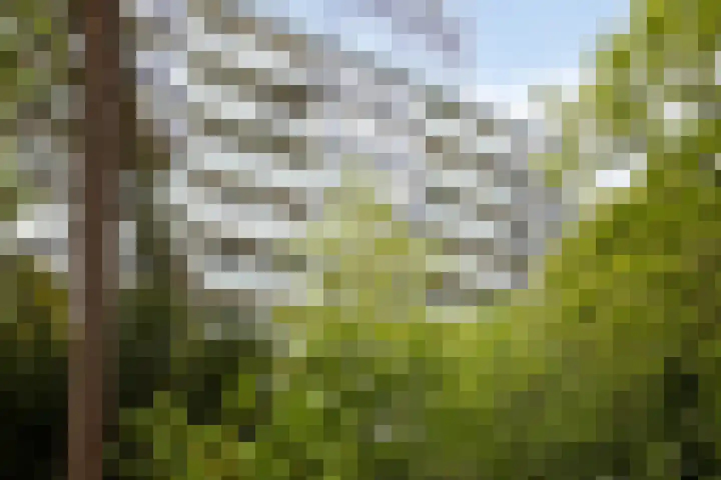 Eper Veste 98 Epe thumbnail 31