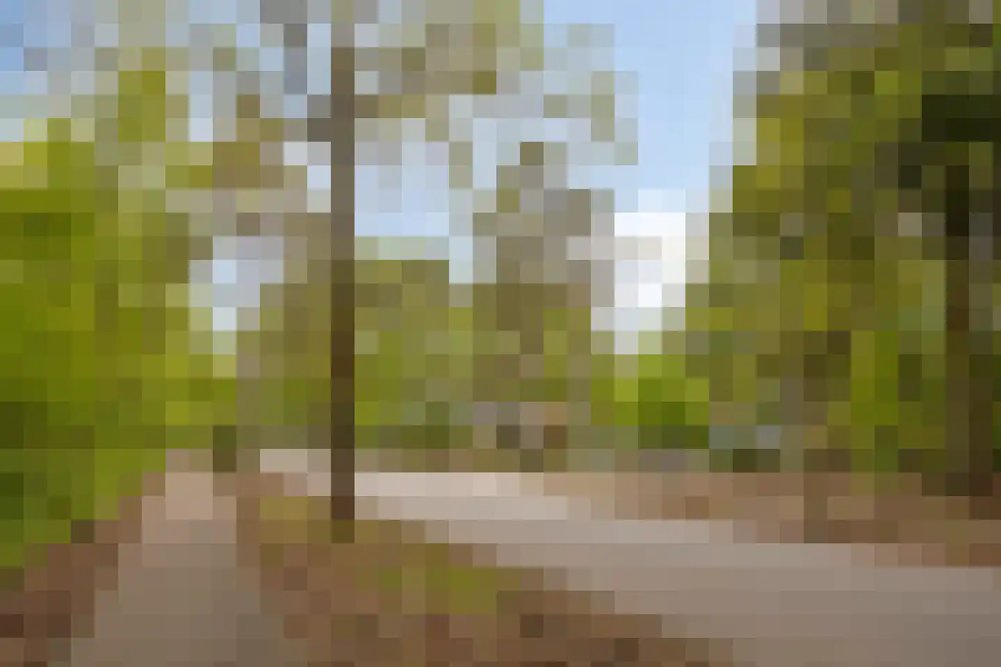 Eper Veste 98 Epe thumbnail 35