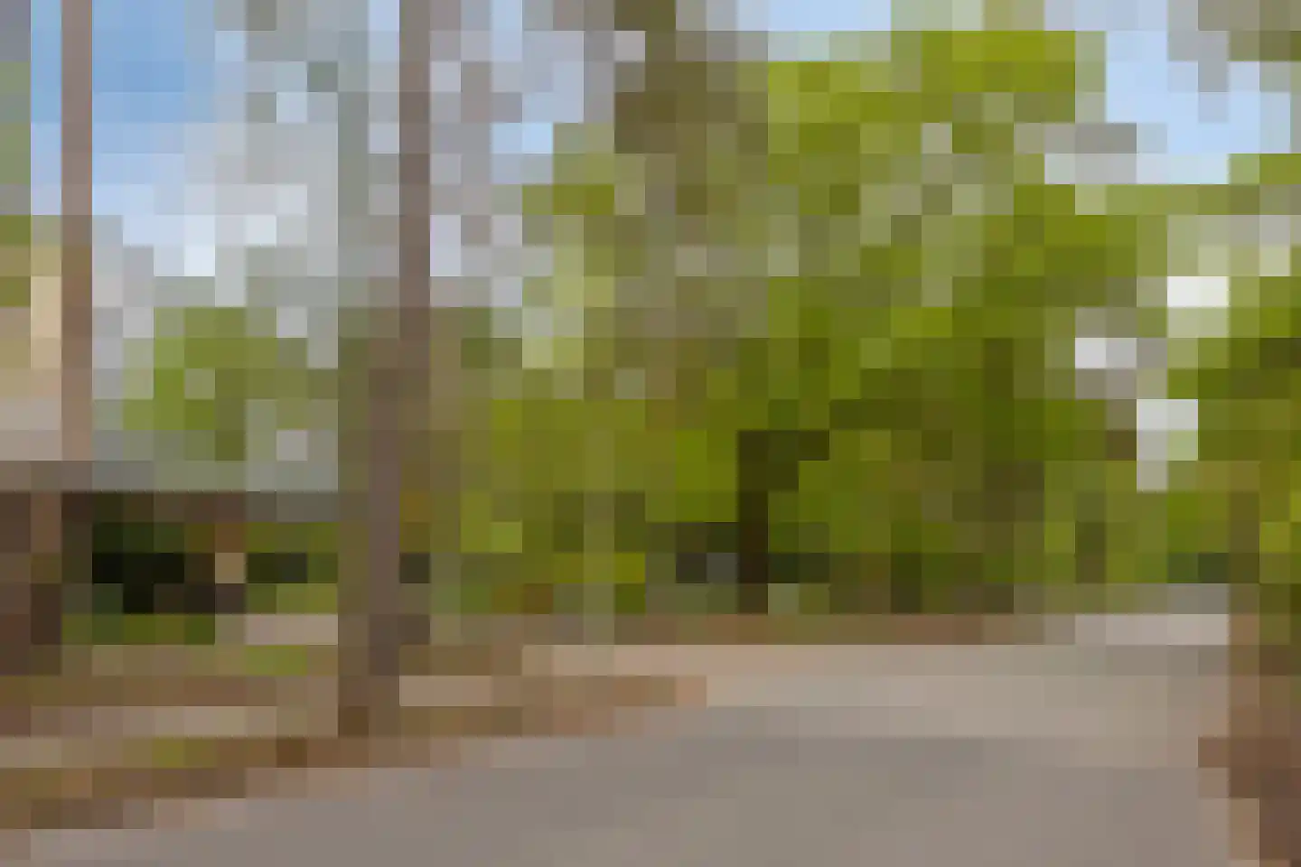Eper Veste 98 Epe thumbnail 36