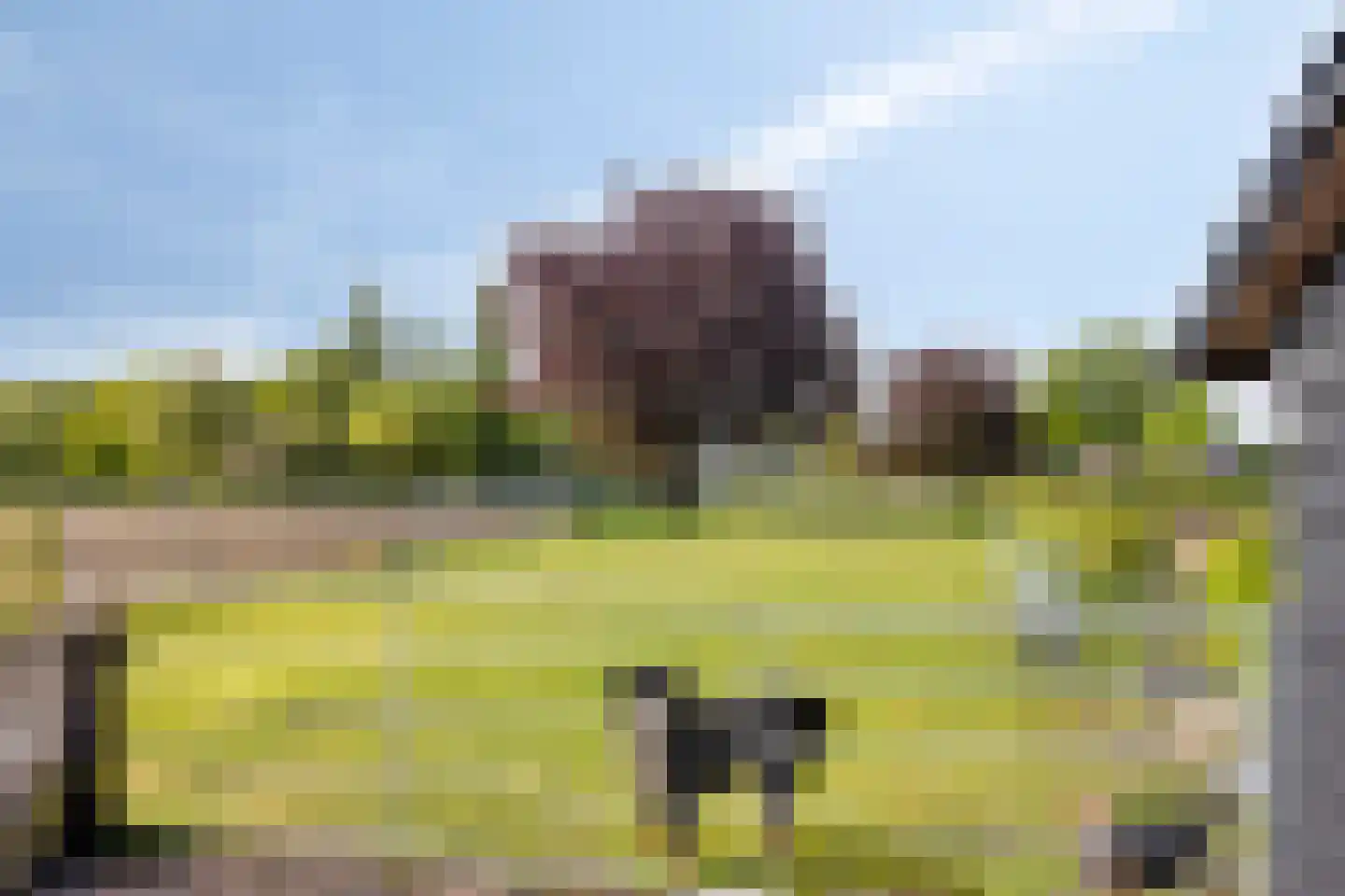Eperweg 10 Emst foto 3