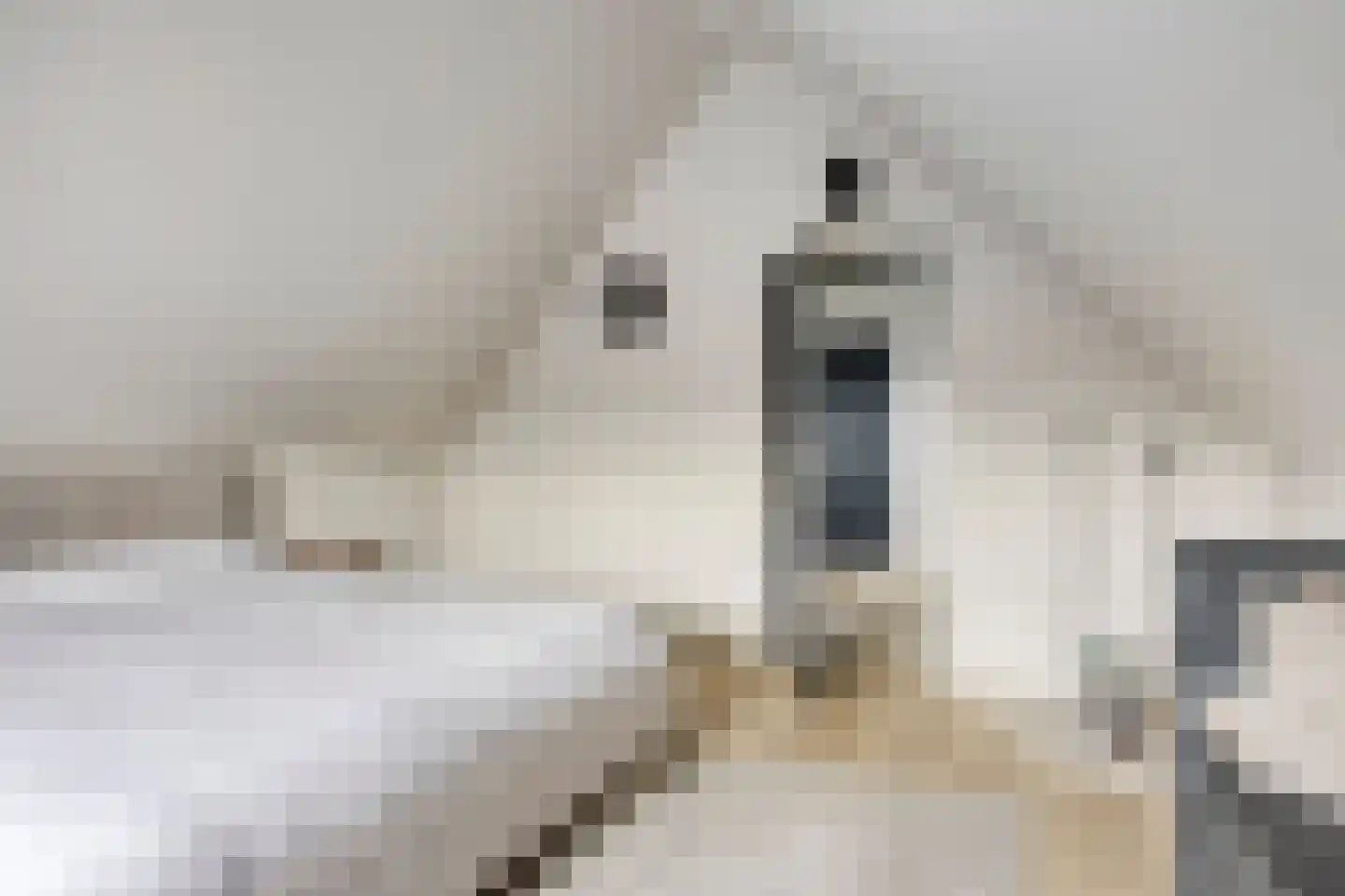 Eperweg 10 Emst thumbnail 36