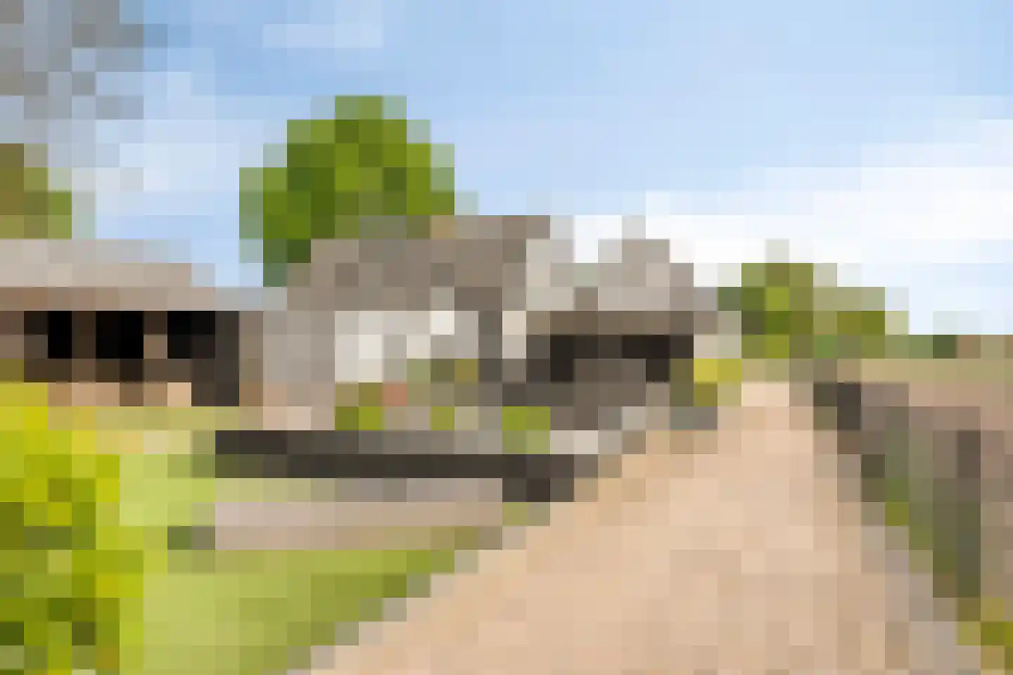 Eperweg 10 Emst thumbnail 45