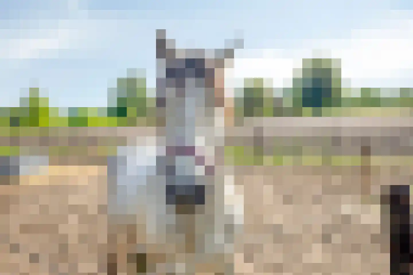 Eperweg 10 Emst thumbnail 51