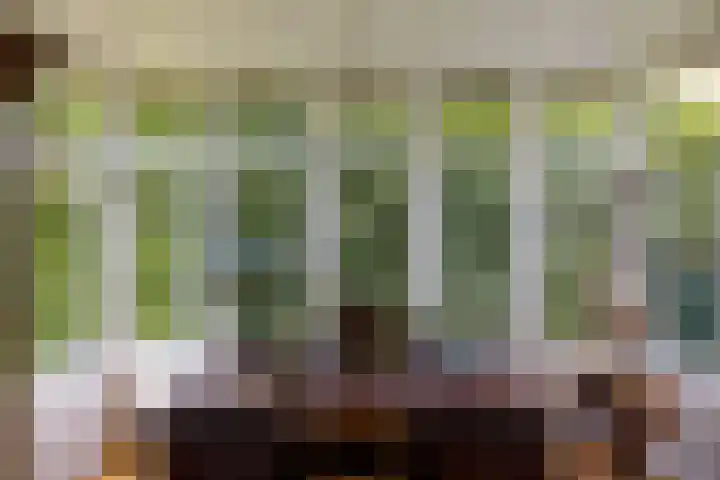 Eperweg 15 Heerde thumbnail 15