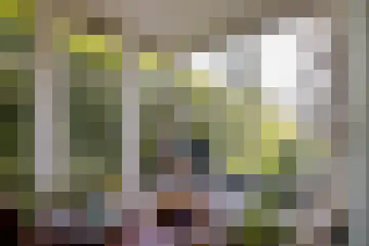 Eperweg 15 Heerde thumbnail 16