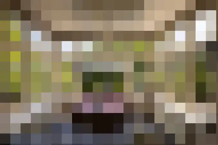 Eperweg 15 Heerde thumbnail 20