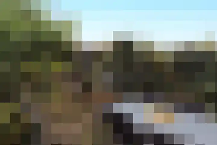 Eperweg 15 Heerde thumbnail 21