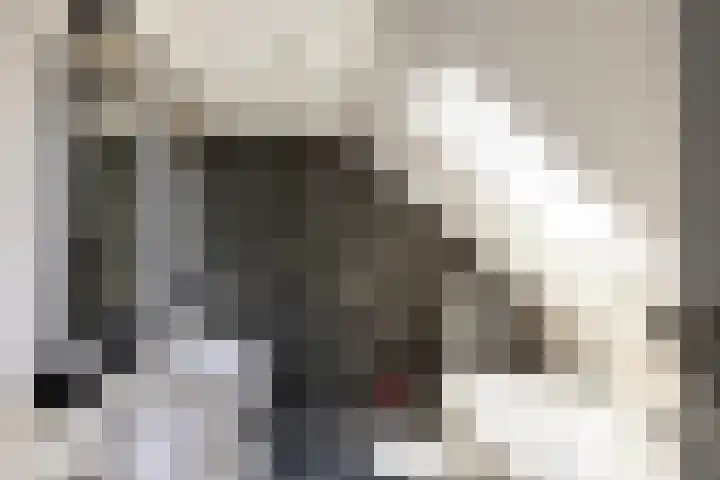 Eperweg 15 Heerde thumbnail 27