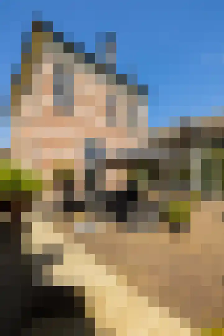 Eperweg 15 Heerde thumbnail 38