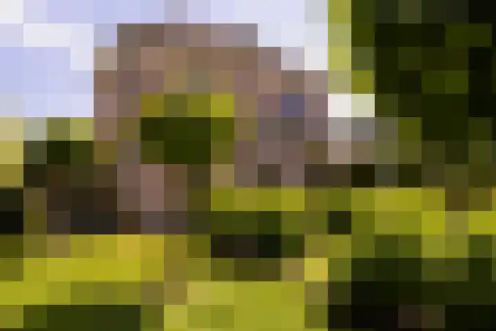 Eperweg 15 Heerde thumbnail 4