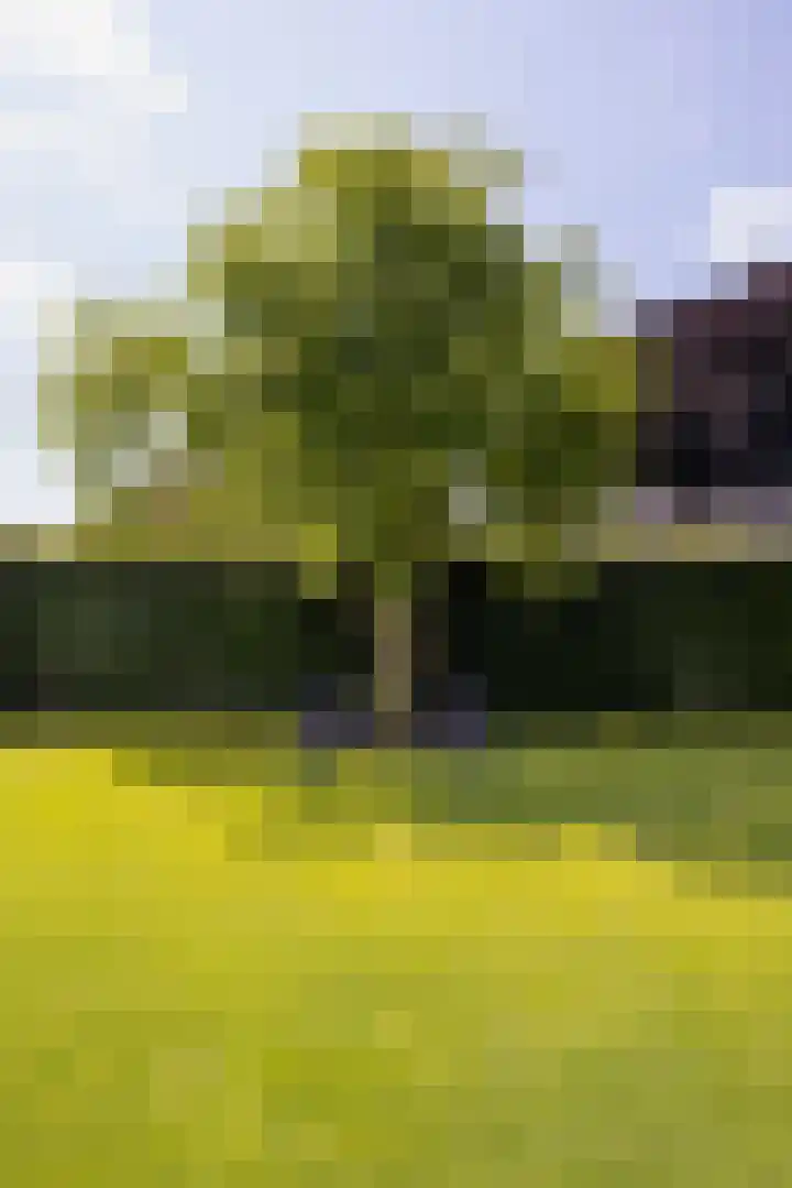 Eperweg 15 Heerde thumbnail 43