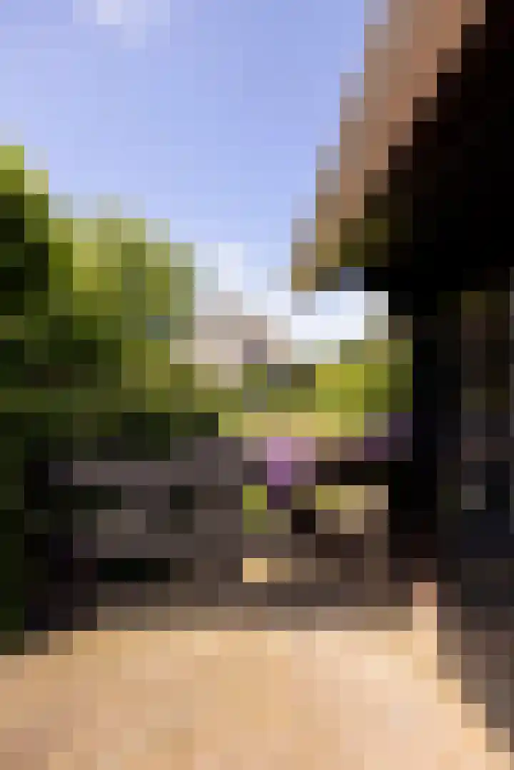 Eperweg 15 Heerde thumbnail 48