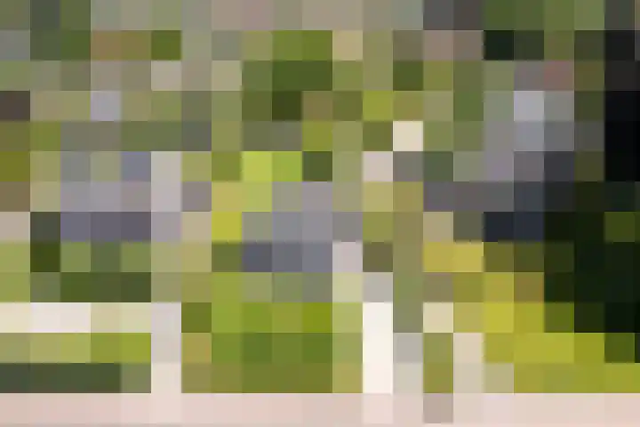 Eperweg 15 Heerde thumbnail 52