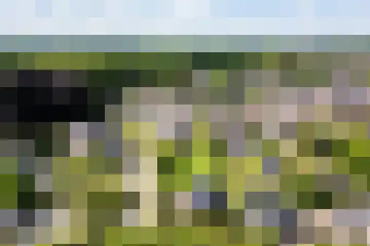 Eperweg 15 Heerde thumbnail 55