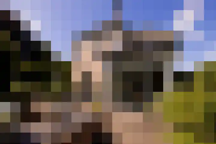 Eperweg 15 Heerde thumbnail 7
