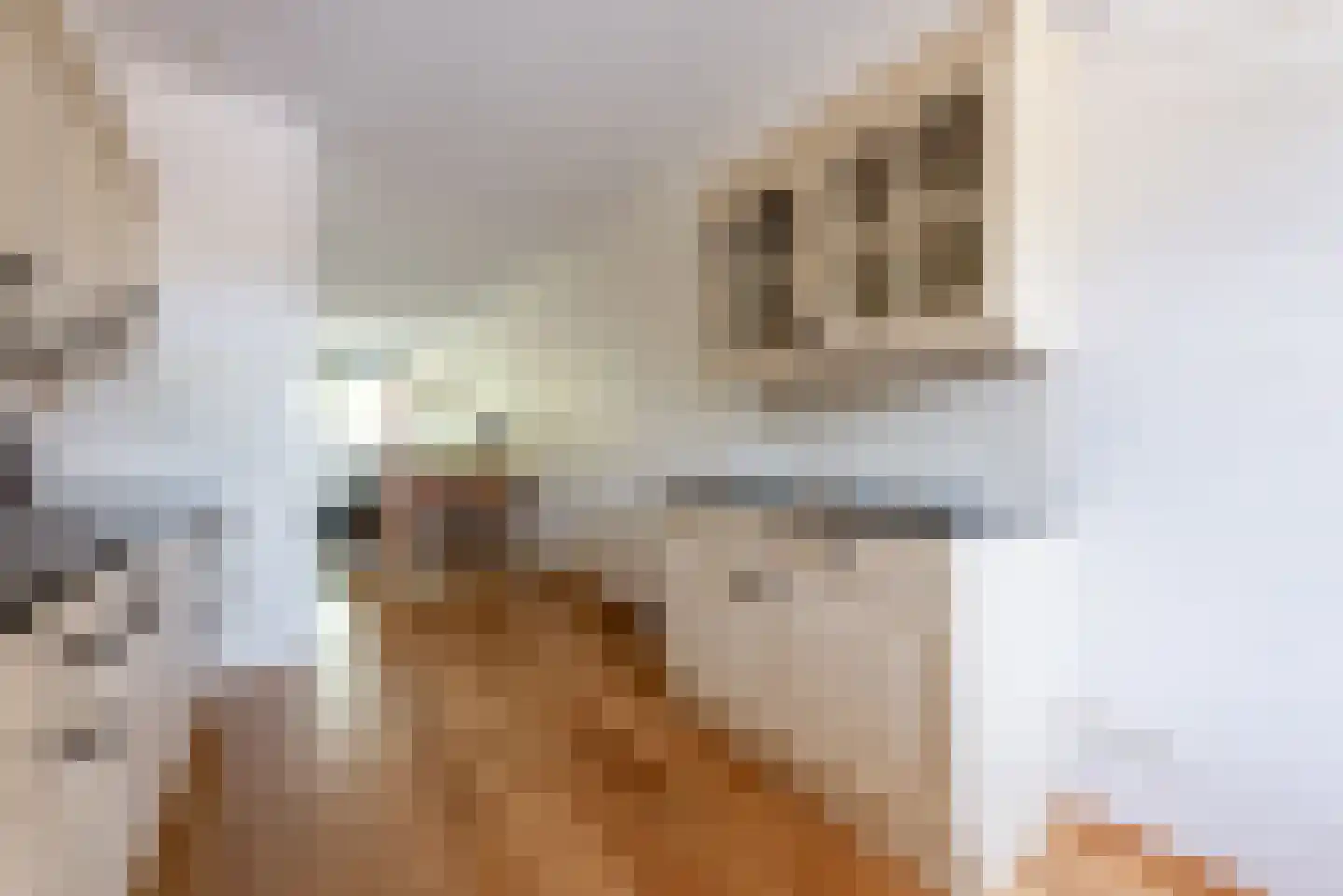 Eperweg 33 d Heerde thumbnail 11