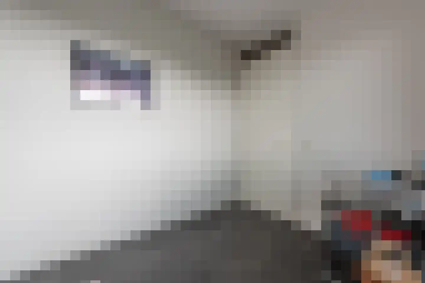 Eperweg 33 m Heerde thumbnail 11