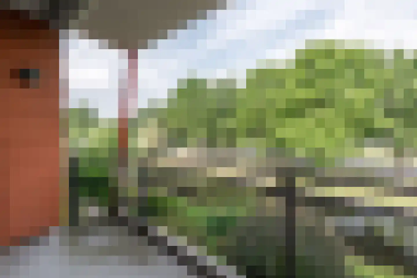 Eperweg 33 m Heerde thumbnail 15