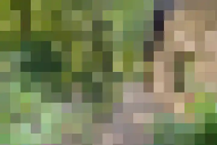 Eperweg 33 Nunspeet thumbnail 10