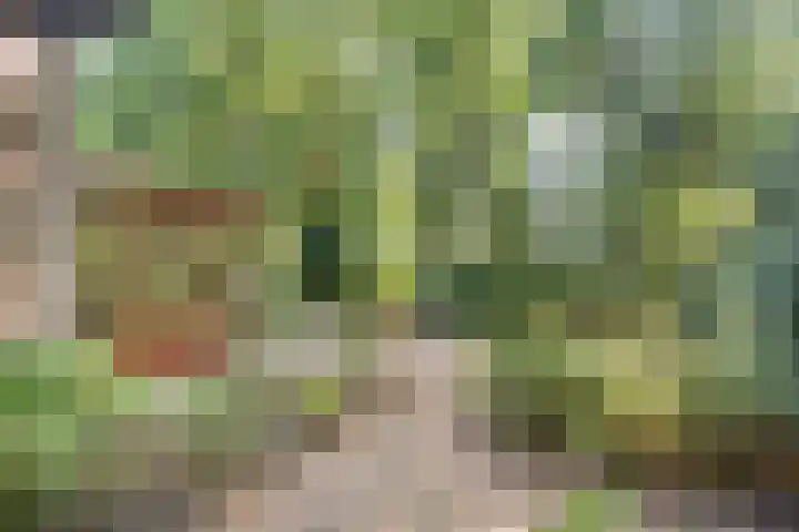 Eperweg 33 Nunspeet thumbnail 11